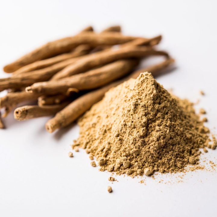 Ashwagandha or Aswaganda OR Indian Ginseng is an Ayurveda medicine in stem and powder form. Isolated on plain background. selective focus Ashwagandha or Aswaganda OR Indian Ginseng is an Ayurveda medicine in stem and powder form. Isolated on plain background. selective focus