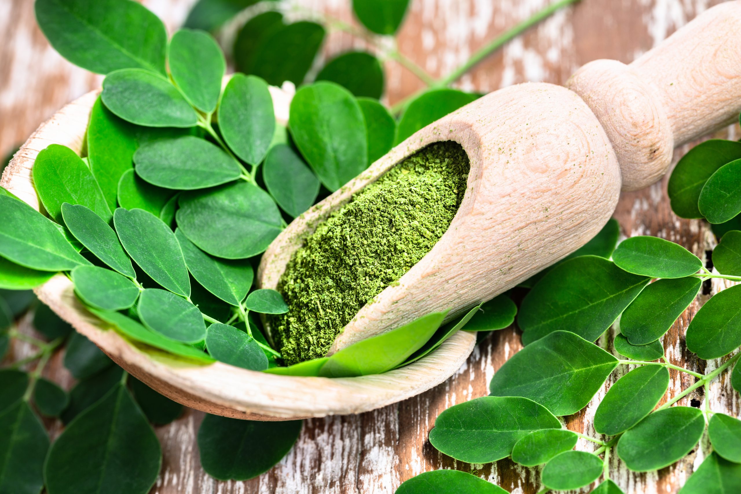 Moringa powder in wooden scoop with original fresh Moringa leave Moringa powder in wooden scoop with original fresh Moringa leaves on wooden table close-up.