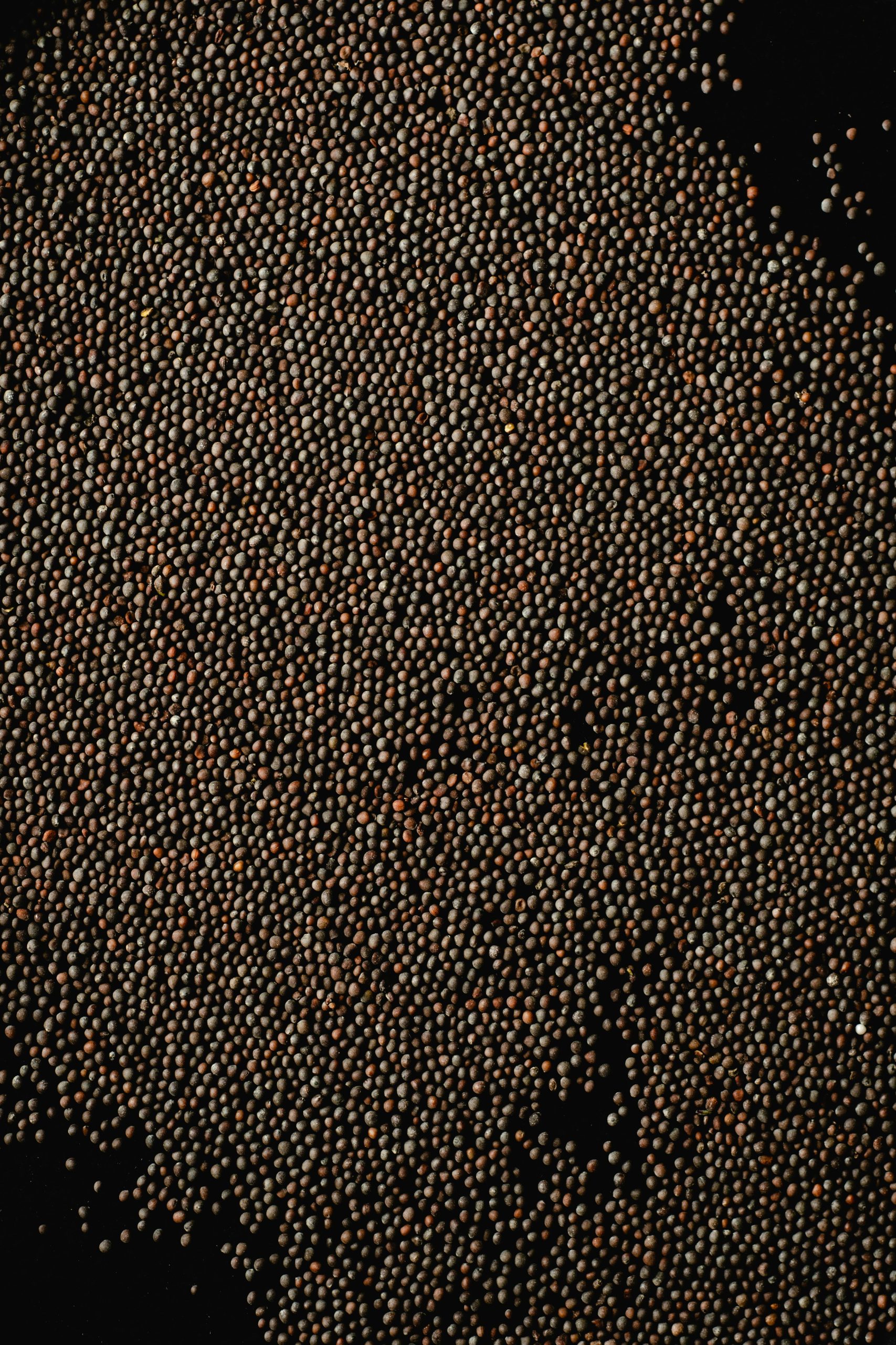 pexels-photo-5988321-5988321 Detailed close-up of mustard seeds with rich texture on a black background.
